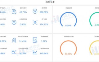 财务数据分析代做，财务大数据分析实训报告